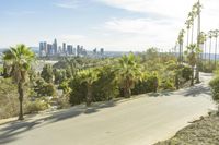 a scenic roadway surrounded by palm trees leading to city skylines on a clear day