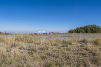 Scenic Road Parking Lot with Vegetation in Open Space