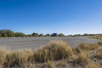 Scenic Road Parking Lot with Vegetation in Open Space