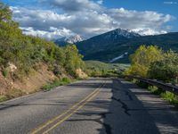 Scenic Road in Rural Colorado: Surrounded by Aspen Trees