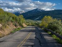 Scenic Road in Rural Colorado: Surrounded by Aspen Trees