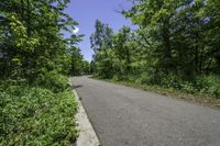 empty road with trees, shrubs and bushes in the background in rural countryside area at daytime