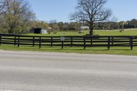 a road that has a fence on the side of it in front of trees, grass and a field in the background