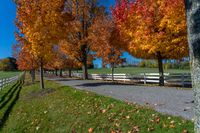 a white fence and grassy field surrounded by colorful fall trees and leaves in the ground