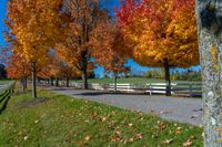 a white fence and grassy field surrounded by colorful fall trees and leaves in the ground