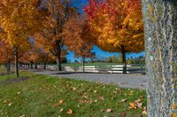 a white fence and grassy field surrounded by colorful fall trees and leaves in the ground