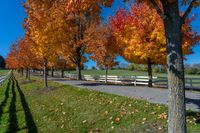 a white fence and grassy field surrounded by colorful fall trees and leaves in the ground