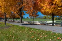 a white fence and grassy field surrounded by colorful fall trees and leaves in the ground