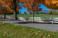 a white fence and grassy field surrounded by colorful fall trees and leaves in the ground