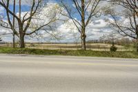 an empty road with a large field in the background and two trees on either side