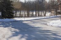 Scenic Road in Rural Ontario with Tree and Snow