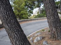 Scenic Road Through Spain's Coastal Landscapes