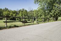 Scenic Road in Suburban Estate with Clear Sky