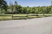 Scenic Road in Suburban Estate with Clear Sky
