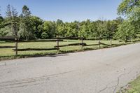 Scenic Road in Suburban Estate with Clear Sky
