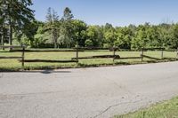 Scenic Road in Suburban Estate with Clear Sky