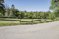 Scenic Road in Suburban Estate with Clear Sky