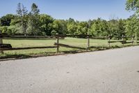Scenic Road in Suburban Estate with Clear Sky