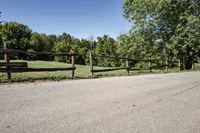 Scenic Road in Suburban Estate with Clear Sky