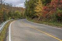 Scenic Road Surrounded by Lush Forests and Vegetation HDRi Maps and ...