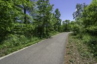 a paved, road is surrounded by trees and bushes and blue skies above the horizon