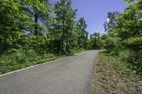 a paved, road is surrounded by trees and bushes and blue skies above the horizon