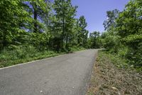 a paved, road is surrounded by trees and bushes and blue skies above the horizon