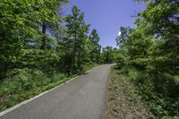 a paved, road is surrounded by trees and bushes and blue skies above the horizon