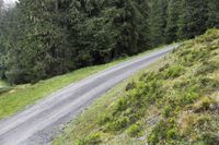 a dirt road with evergreen forest on both sides and a lone motor cycle parked beside the path