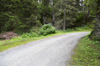 a dirt road with evergreen forest on both sides and a lone motor cycle parked beside the path