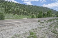 the empty road is near a pine covered mountain side slope - top land in the background