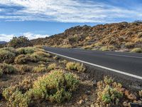 a road with some bushes and bushes on it in the desert outside of a valley