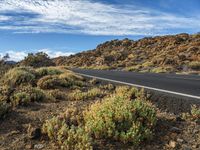 a road with some bushes and bushes on it in the desert outside of a valley