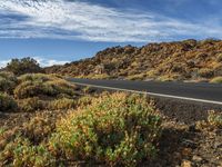 a road with some bushes and bushes on it in the desert outside of a valley