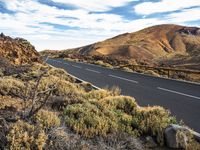 a road in the middle of a desert with some bushes around it with mountains behind