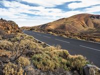 a road in the middle of a desert with some bushes around it with mountains behind