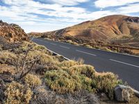 a road in the middle of a desert with some bushes around it with mountains behind