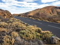 a road in the middle of a desert with some bushes around it with mountains behind