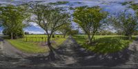 a 3d rendering of a road going through a field and trees with bright green grass