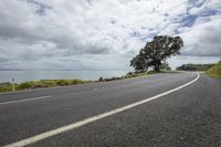 a tree on the side of an empty road next to water and hills under cloudy skies