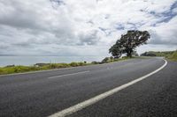 a tree on the side of an empty road next to water and hills under cloudy skies