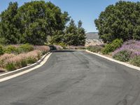 a road with lots of trees and bushes along one side of the road there is an empty lot with no cars at all