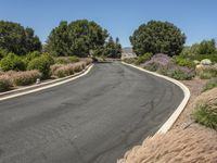 a road with lots of trees and bushes along one side of the road there is an empty lot with no cars at all