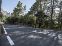 a road is pictured with trees on both sides in the middle of the picture and to the far of the picture are pine trees, rocks, and some mountains