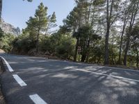 a road is pictured with trees on both sides in the middle of the picture and to the far of the picture are pine trees, rocks, and some mountains