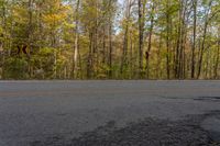 an empty street next to some trees and fallen leaves in the woods of a large wooded area