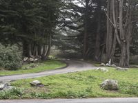 Scenic Road Trip through California's Big Sur