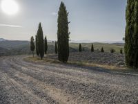 a person walks on a dirt road near a group of trees and some hills in the distance