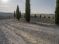 a person walks on a dirt road near a group of trees and some hills in the distance