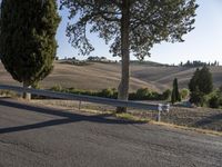 an empty country road near rolling hills and a fenced in area with grass and trees